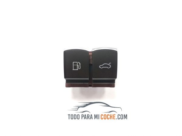 boton gasolina passat (3)