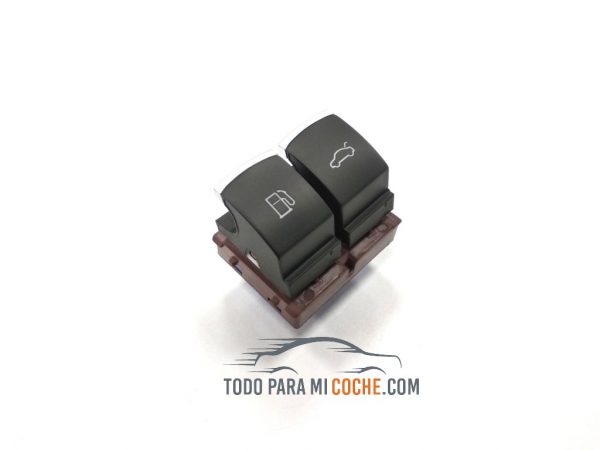 boton gasolina passat (5)