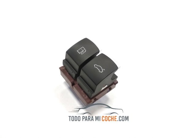 boton gasolina passat (6)