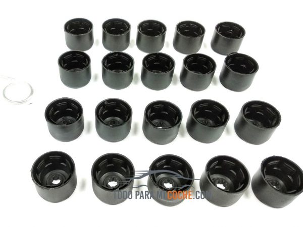 Tapones tornillos llantas (9)